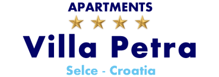 petra dario logo T